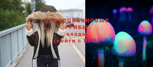 шишки Новозыбков