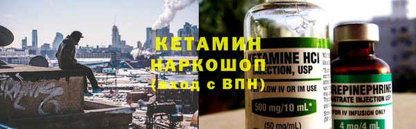 шишки Новозыбков