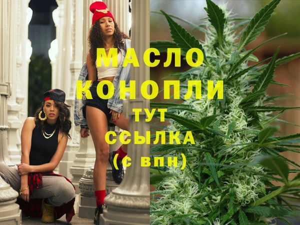 шишки Новозыбков