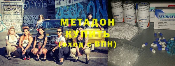 шишки Новозыбков