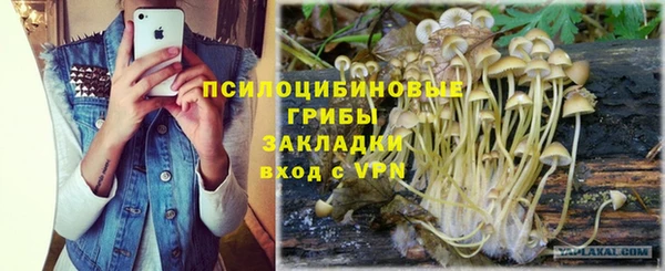 шишки Новозыбков