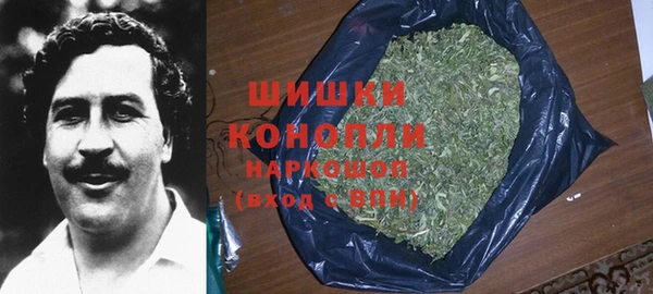 ГАЛЛЮЦИНОГЕННЫЕ ГРИБЫ Новокубанск