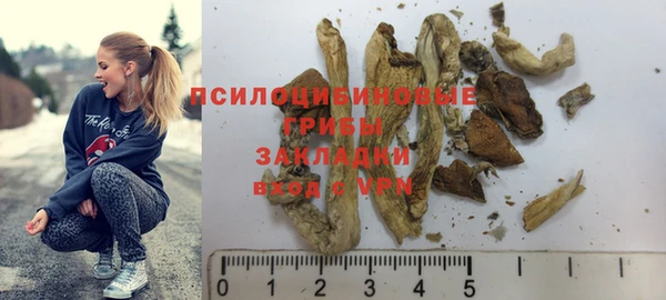 ГАЛЛЮЦИНОГЕННЫЕ ГРИБЫ Новокубанск