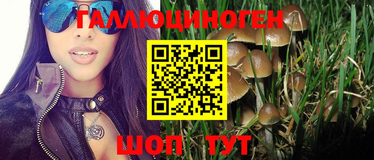 Белореченск  Галлюциногенные грибы GOLDEN TEACHER  Вход с VPN 