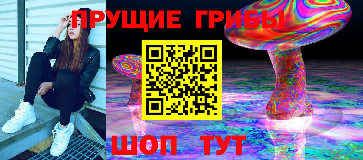 Псилоцибиновые грибы Psilocybe  где купить   Белореченск 
