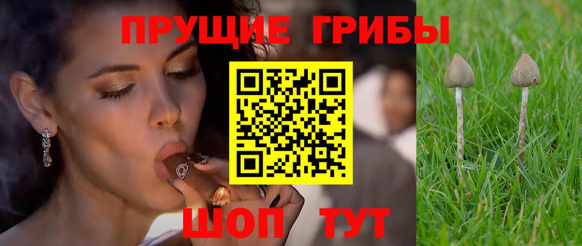 Псилоцибиновые грибы мухоморы Белореченск